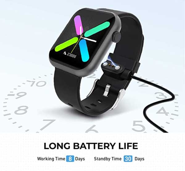 TekPluze-Smartwatch의 배터리